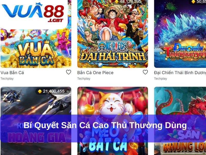 Bí quyết săn cá cao thủ thường dùng
