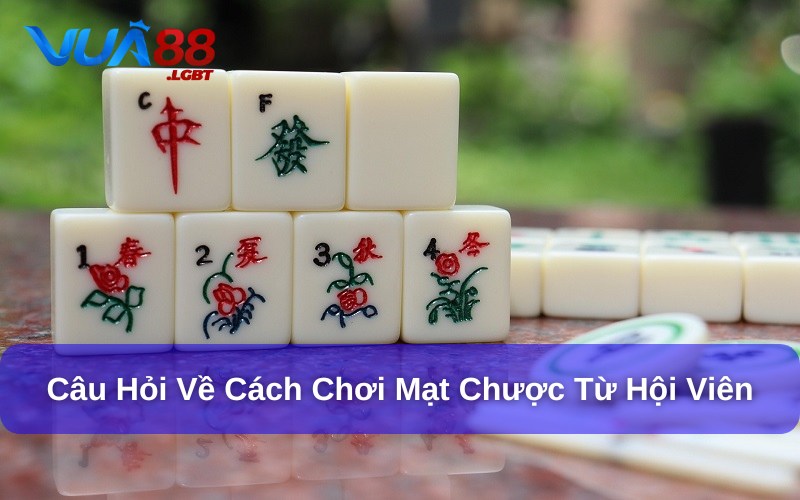 Các bộ bài tiêu chuẩn