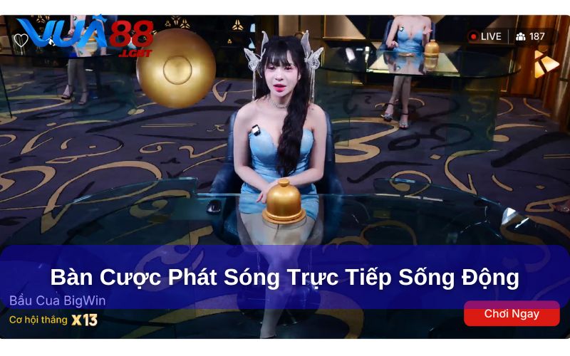 Bàn cược được phát sóng trực tiếp sống động