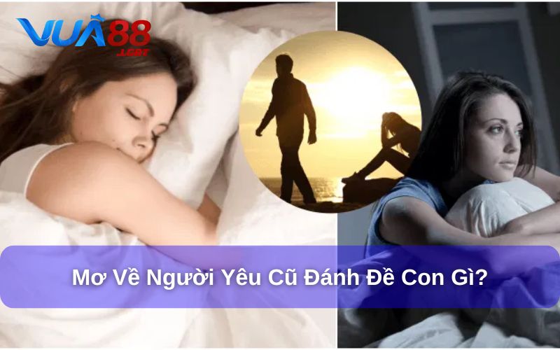 Giải Đáp Mơ Về Người Yêu Cũ Đánh Đề Con Gì? 99+ Con Số May Mắn Giải đáp chi tiết mơ về người yêu cũ đánh đề con gì