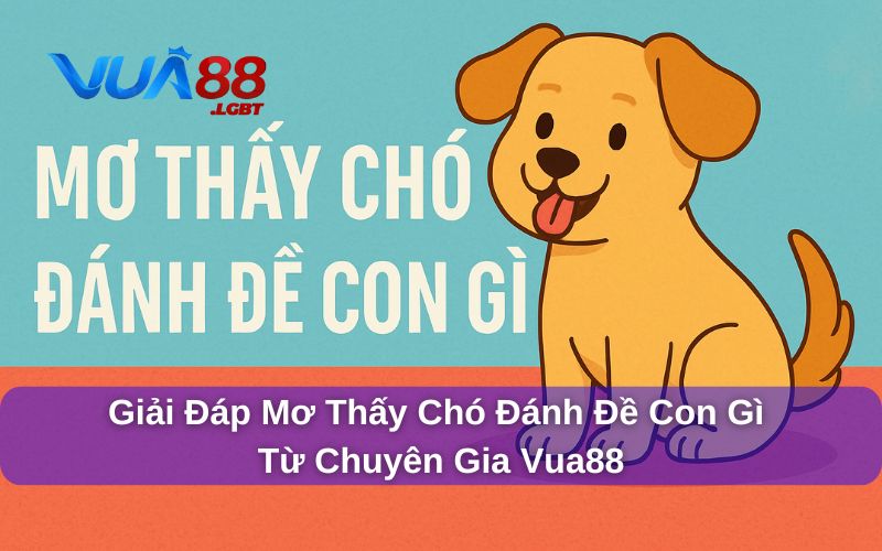 Giải Đáp Mơ Thấy Chó Đánh Đề Con Gì Từ Chuyên Gia Vua88 Mơ thấy chó đánh đề con gì