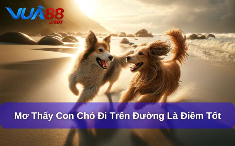 Giải Đáp Mơ Thấy Chó Đánh Đề Con Gì Từ Chuyên Gia Vua88 Mơ thấy con chó đang đi trên đường thì đánh số mấy?