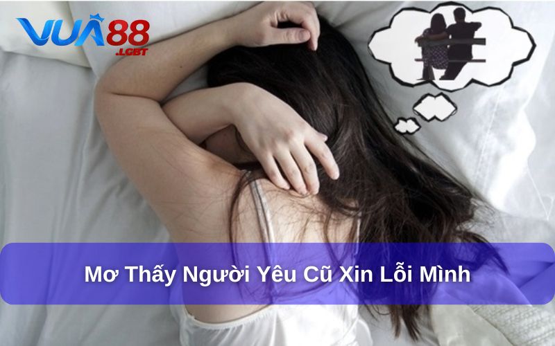 Giải Đáp Mơ Về Người Yêu Cũ Đánh Đề Con Gì? 99+ Con Số May Mắn Giải mã giấc mơ khi mơ thấy người yêu cũ xin lỗi mình