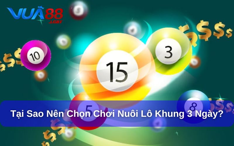 Nuôi Lô Khung 3 Ngày Bằng Phương Pháp Hiệu Quả Nhất Nuôi lô khung 3 ngày tỷ lệ trúng khá cao