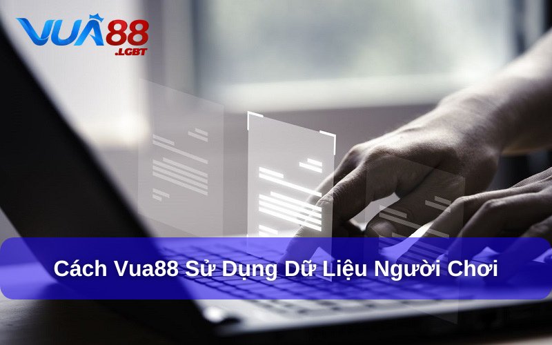 Quyền Riêng Tư - Những Quy Định Đảm Bảo An Toàn Cho Hội Viên Vua88 thu thập thông tin để hỗ trợ khách hàng tốt nhất
