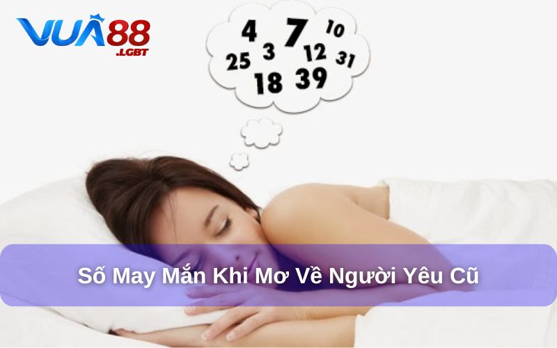 Giải Đáp Mơ Về Người Yêu Cũ Đánh Đề Con Gì? 99+ Con Số May Mắn Một vài con số đặc biệt khi mơ thấy người yêu cũ
