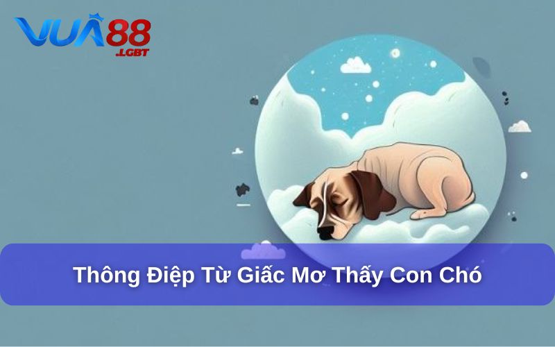 Giải Đáp Mơ Thấy Chó Đánh Đề Con Gì Từ Chuyên Gia Vua88 Thông điệp từ giấc mơ thấy con chó