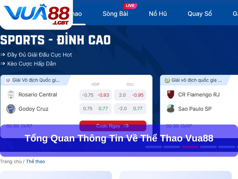 Tổng quan thông tin về Thể thao Vua88